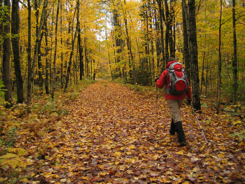 radonner dans parc national du mont-orford
